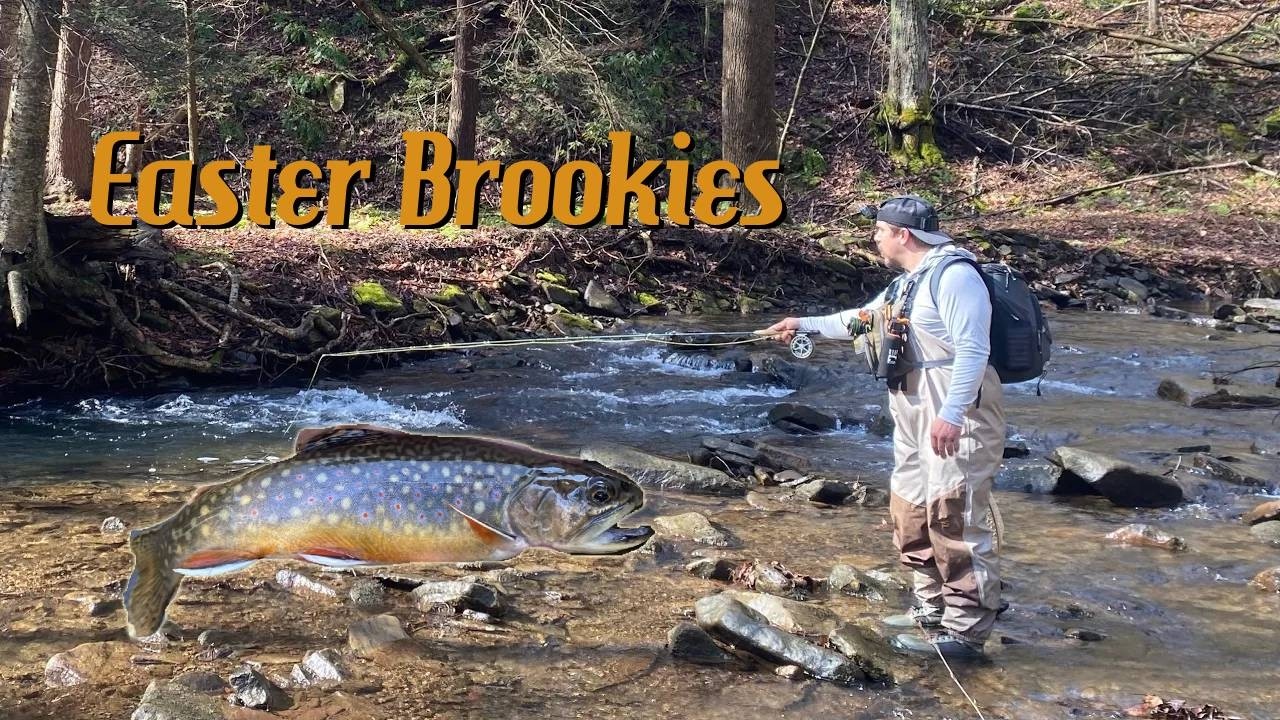 Easter Brookies in Pennsylvania
